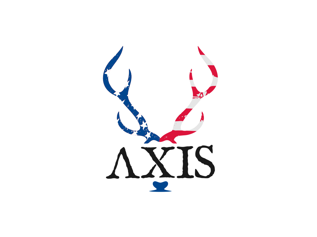 Axis logo design by Realistis