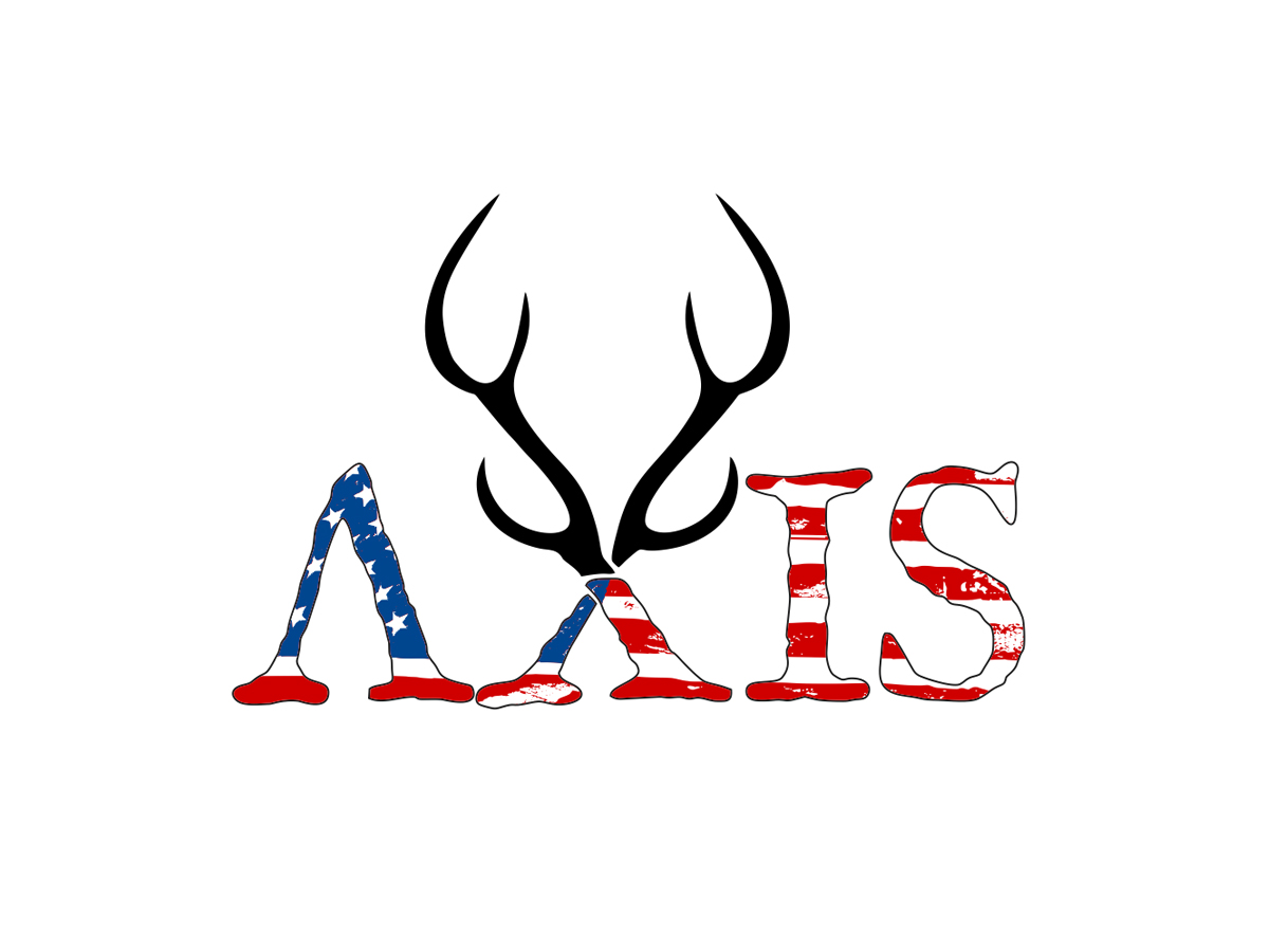 Axis logo design by Realistis