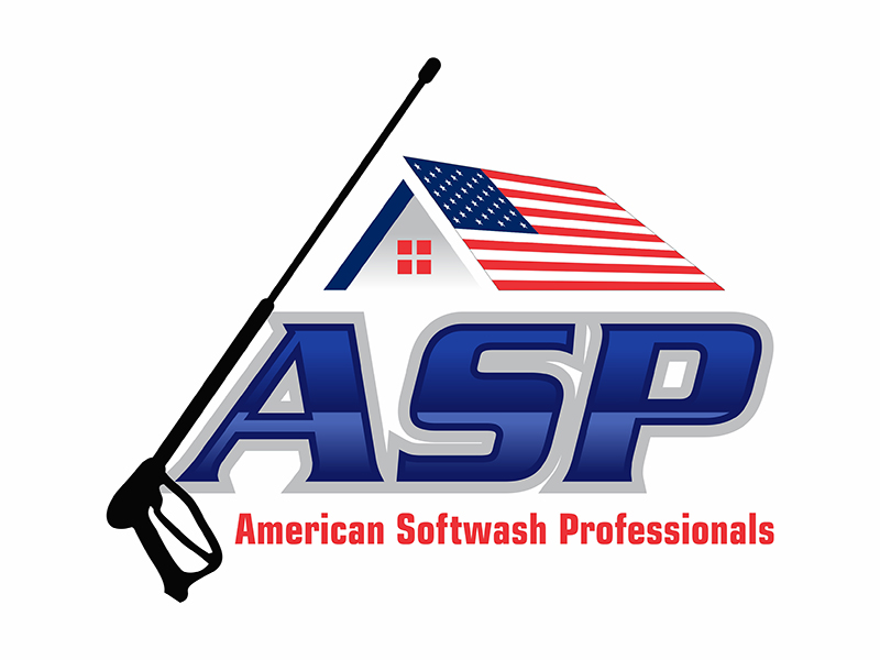 American Softwash Professionals logo design by gitzart