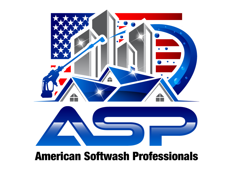 American Softwash Professionals logo design by PRN123