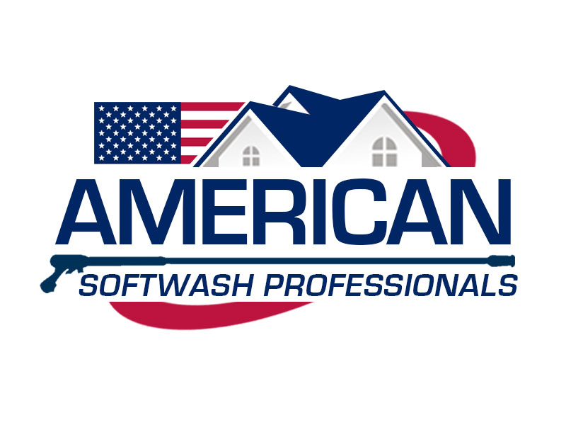American Softwash Professionals logo design by kunejo