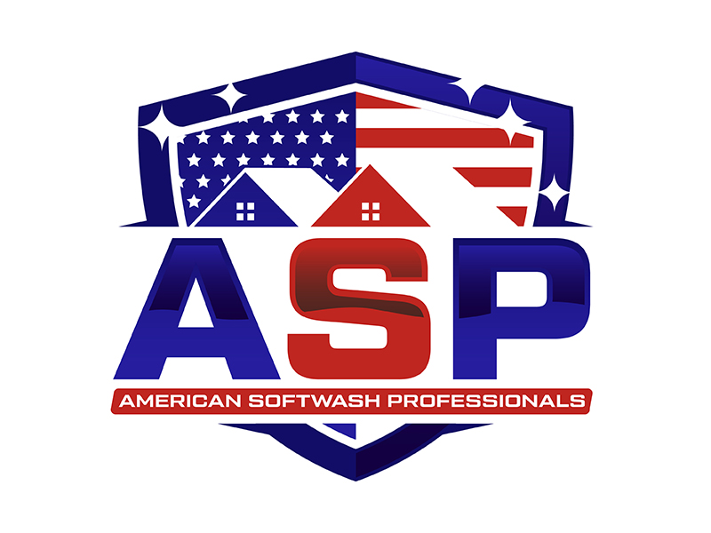 American Softwash Professionals logo design by neonlamp