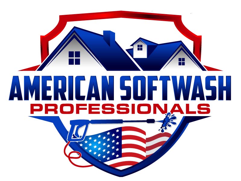 American Softwash Professionals logo design by axel182