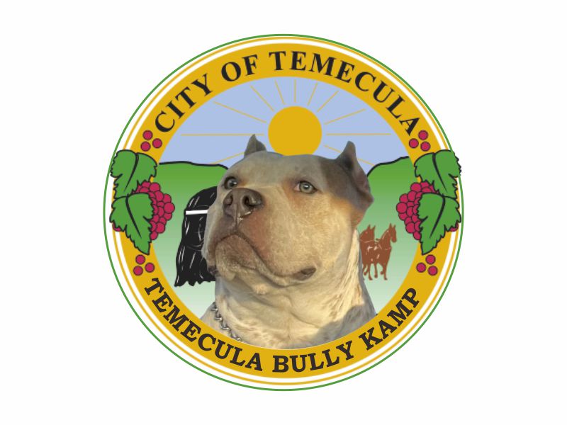 Temecula bully kamp logo design by dasam