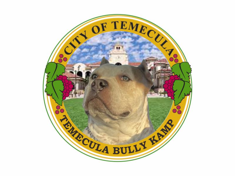 Temecula bully kamp logo design by dasam