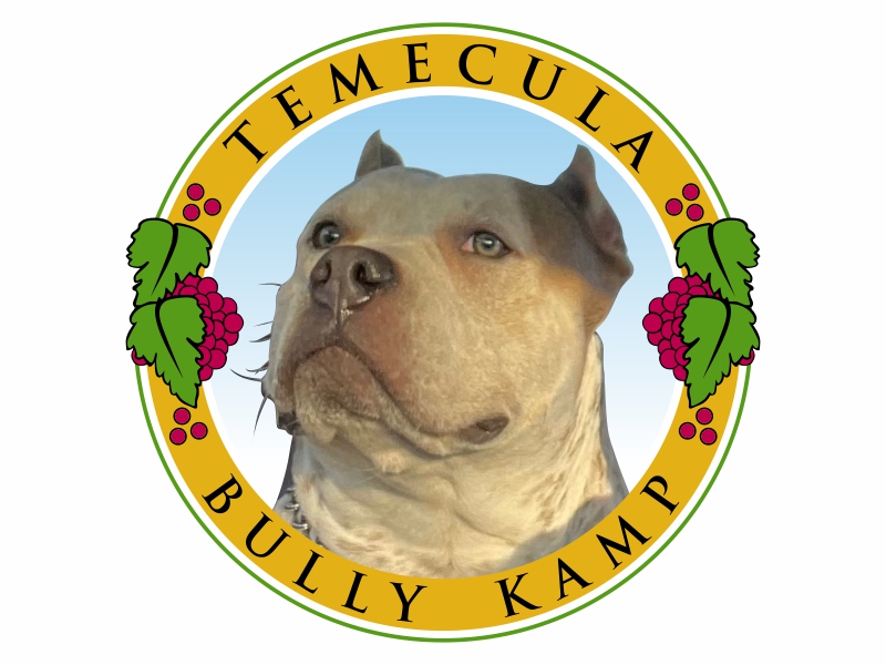 Temecula bully kamp logo design by qqdesigns