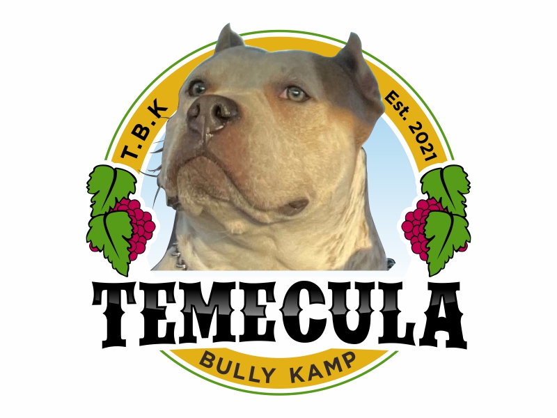 Temecula bully kamp logo contest
