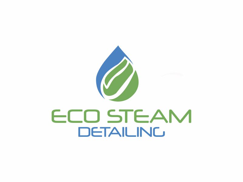 Eco Steam Detailing logo design by dasam
