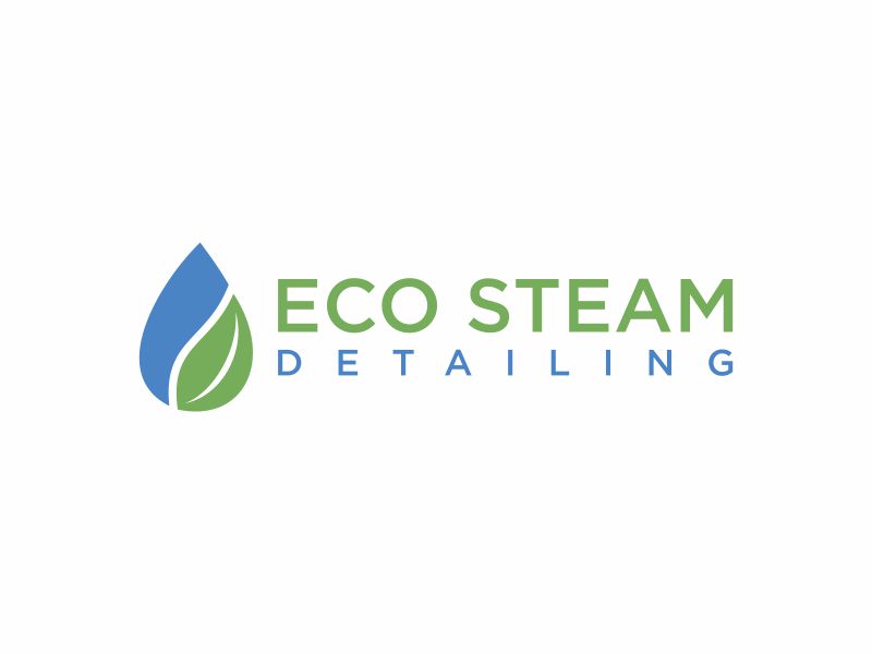 Eco Steam Detailing logo design by Franky.