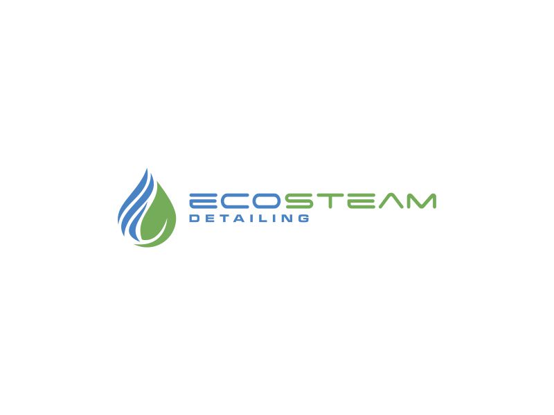 Eco Steam Detailing logo design by restuti