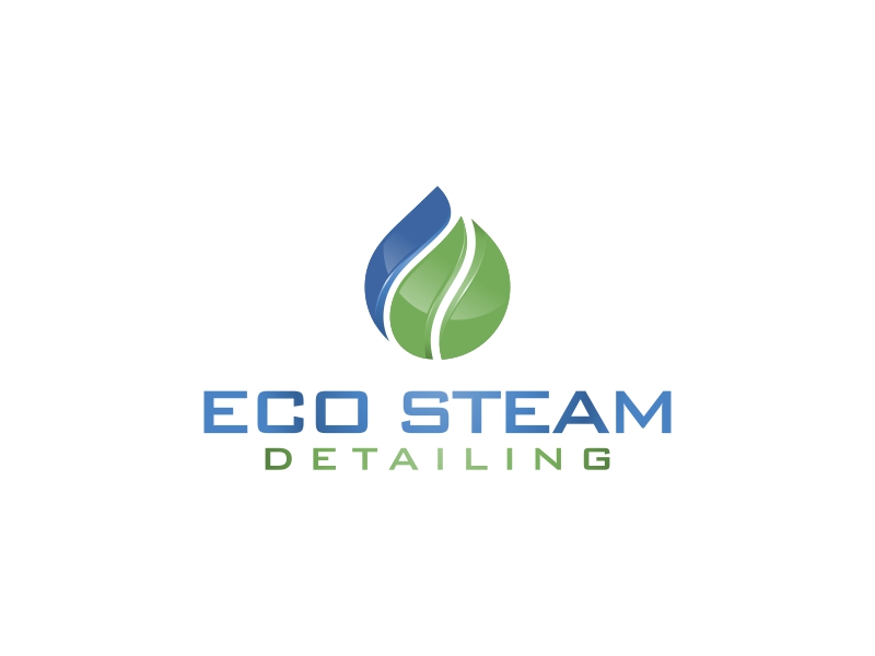 Eco Steam Detailing logo design by Asani Chie