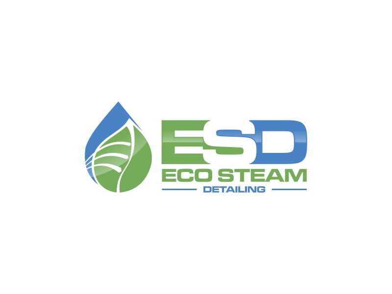 Eco Steam Detailing logo design by hopee
