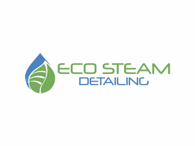 Eco Steam Detailing logo design by dasam