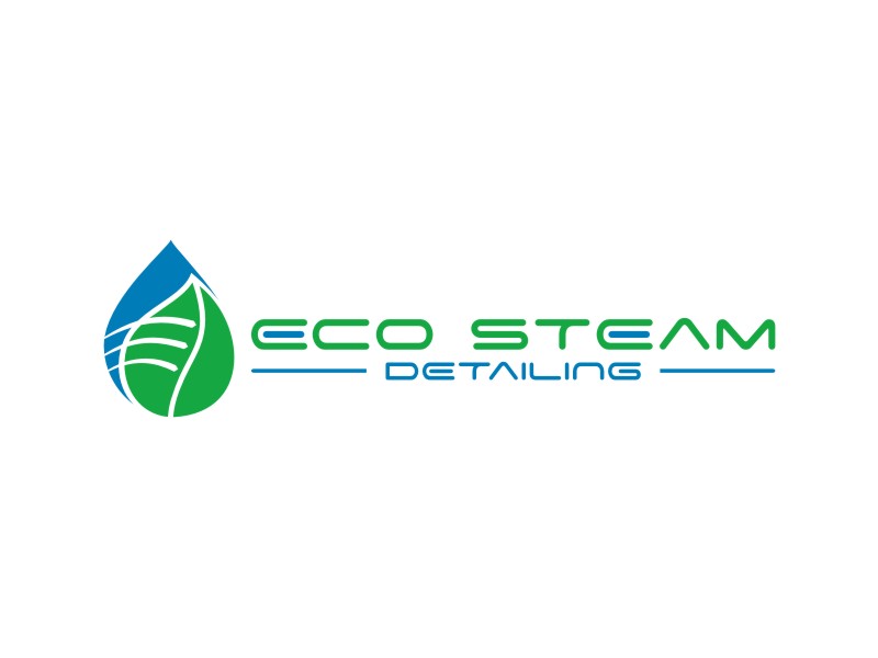 Eco Steam Detailing logo design by MieGoreng