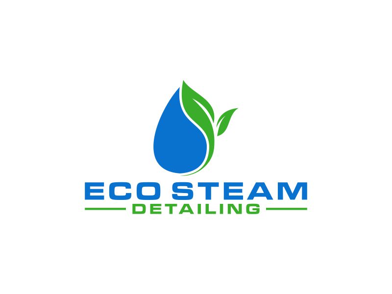 Eco Steam Detailing logo design by berkah271