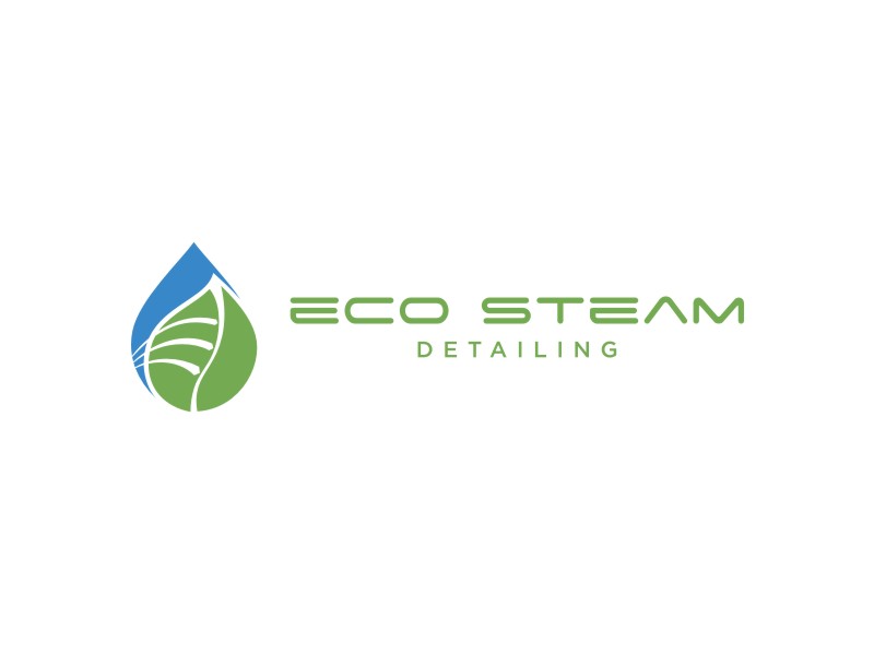 Eco Steam Detailing logo design by alby