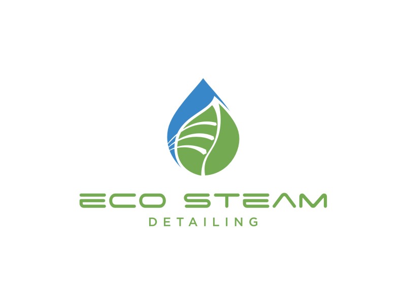 Eco Steam Detailing logo design by alby