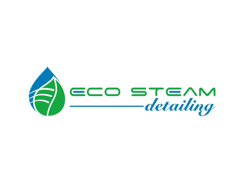 Eco Steam Detailing logo design by MieGoreng
