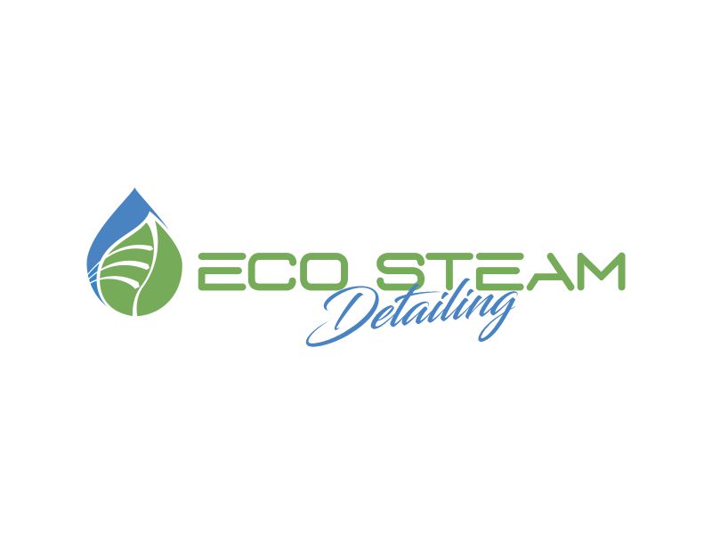 Eco Steam Detailing logo design by Gwerth