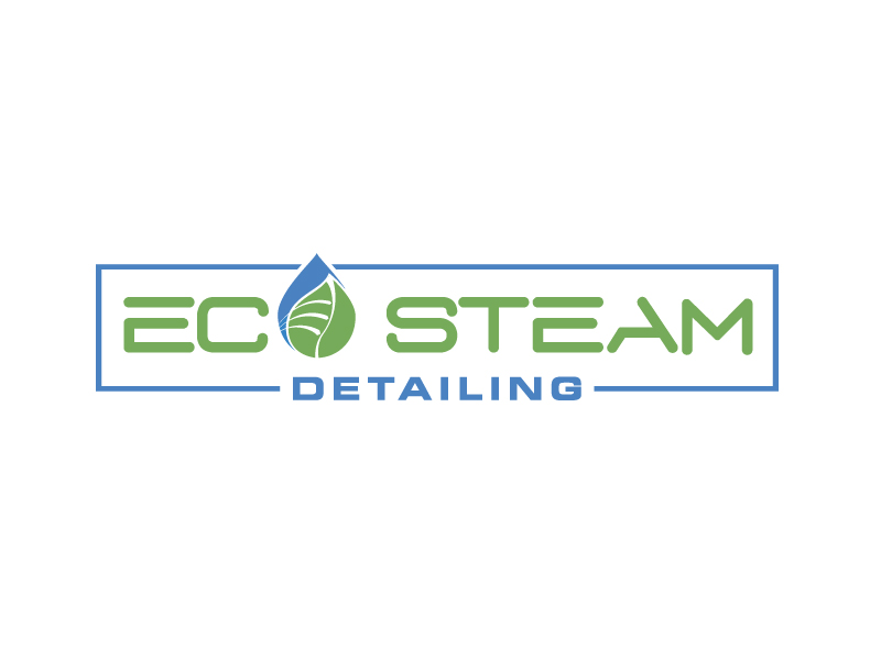 Eco Steam Detailing logo design by Dini Adistian