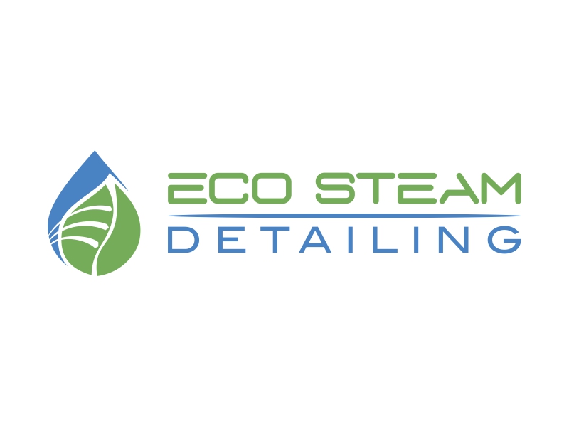 Eco Steam Detailing logo contest