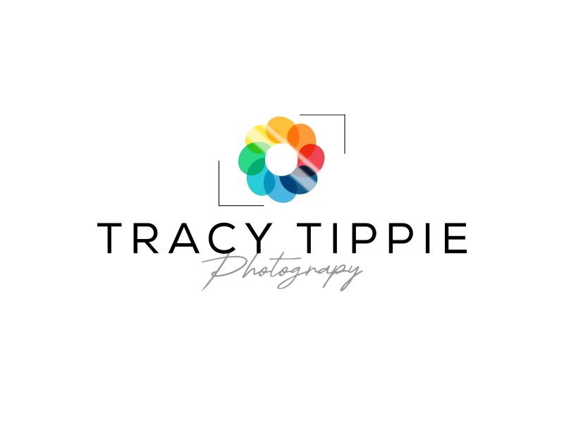 Tracy Tippie Photography logo design by gomadesign