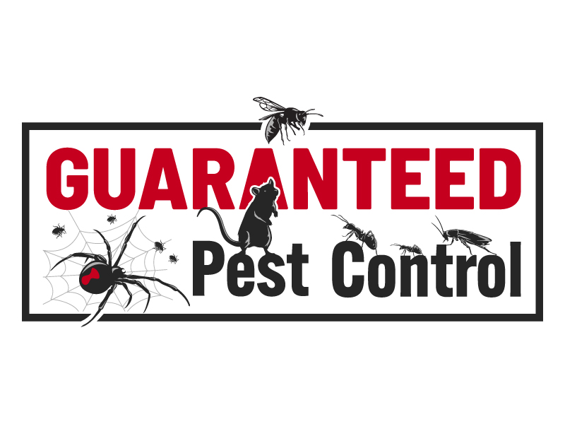 Guaranteed Pest Control logo design by pambudi