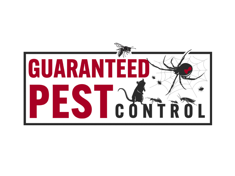 Guaranteed Pest Control logo design by senja03
