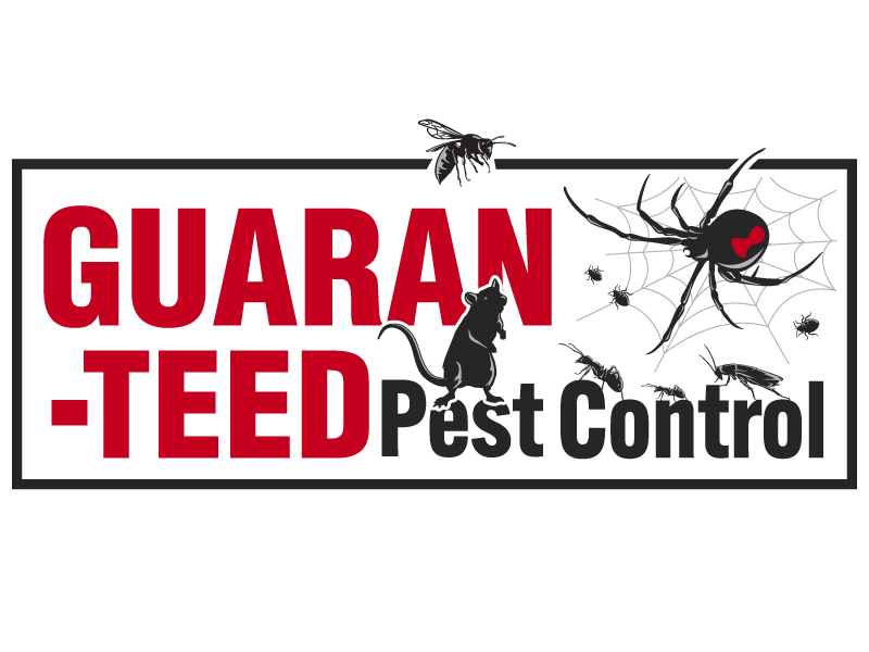 Guaranteed Pest Control logo design by nexgen