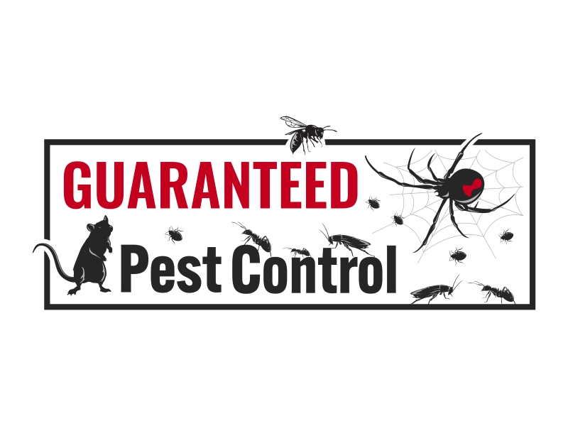 Guaranteed Pest Control logo design by graphicstar