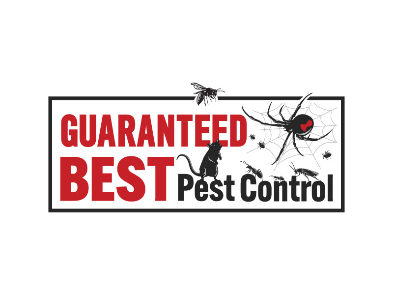 Guaranteed Pest Control logo design by MuhammadSami