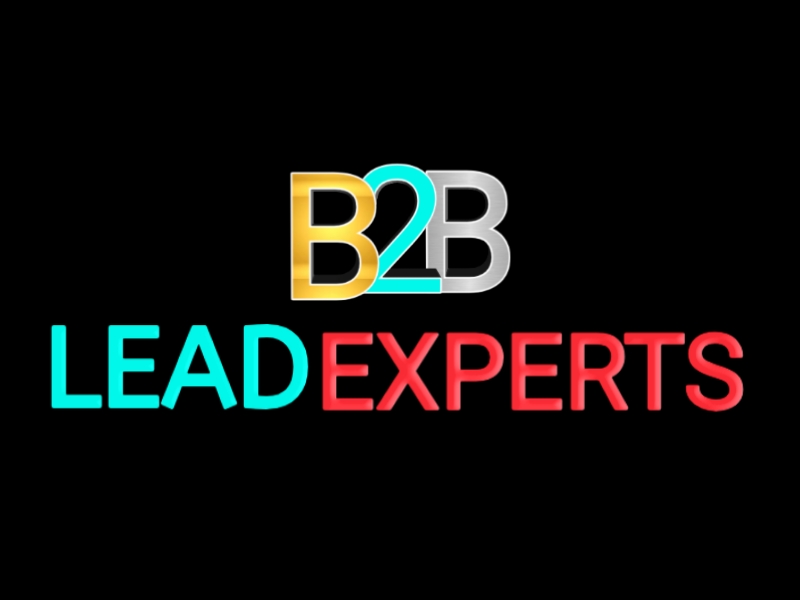 B2B Lead Experts logo design by Raja