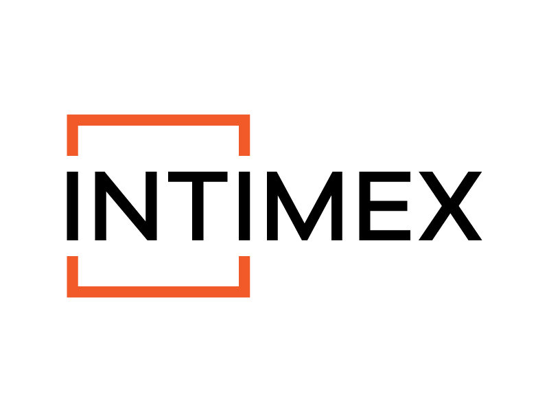 intimex logo design by bigboss