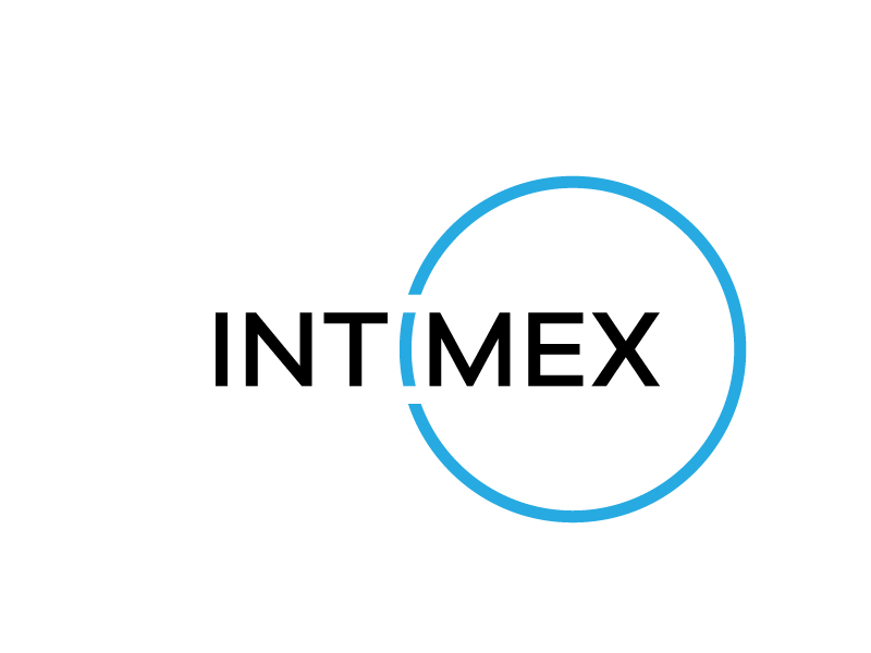 intimex logo design by bigboss