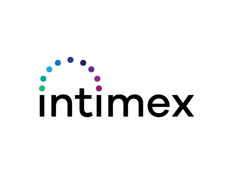 intimex logo design by bigboss