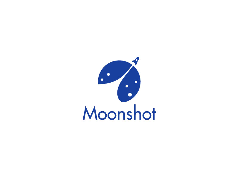 Moonshot logo design by bezalel