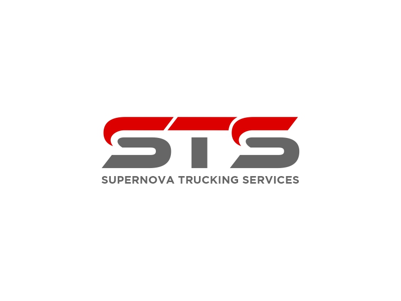 STS logo design by hunter$