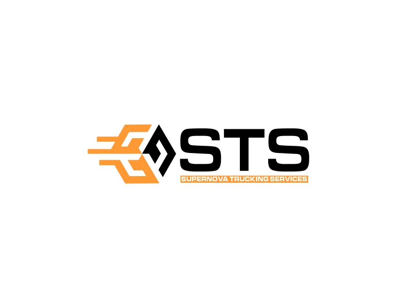 STS logo design by hunter$