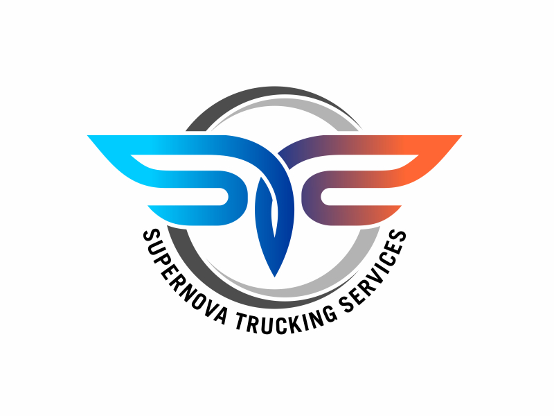 STS logo design by aura