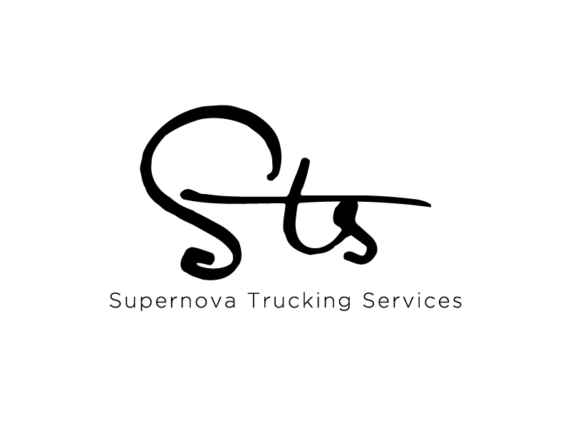 STS logo design by Vins