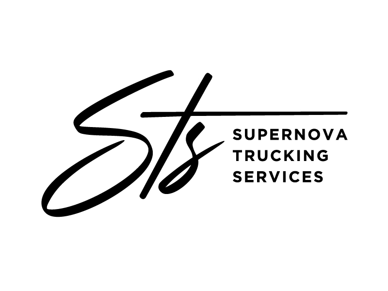 STS logo design by Vins