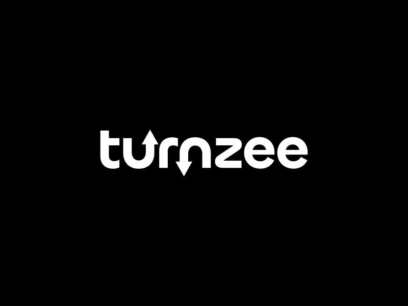 turnzee logo design by pionsign