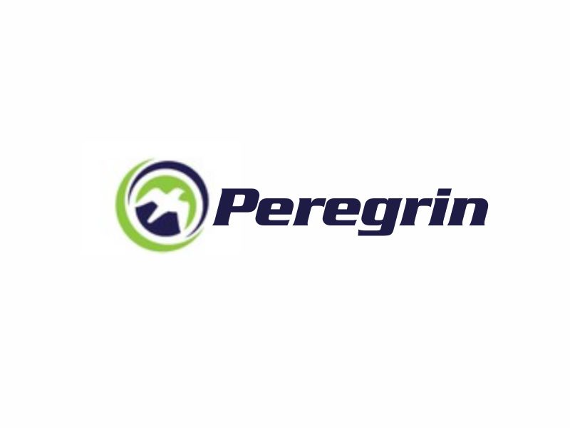 Peregrin logo design by sikas