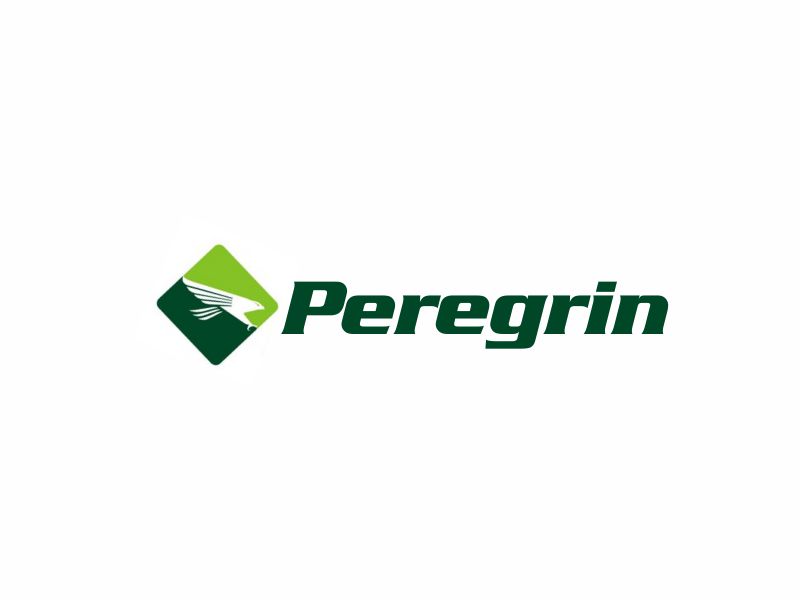 Peregrin logo design by sikas