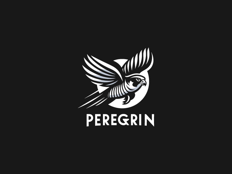 Peregrin logo design by Ebad uddin
