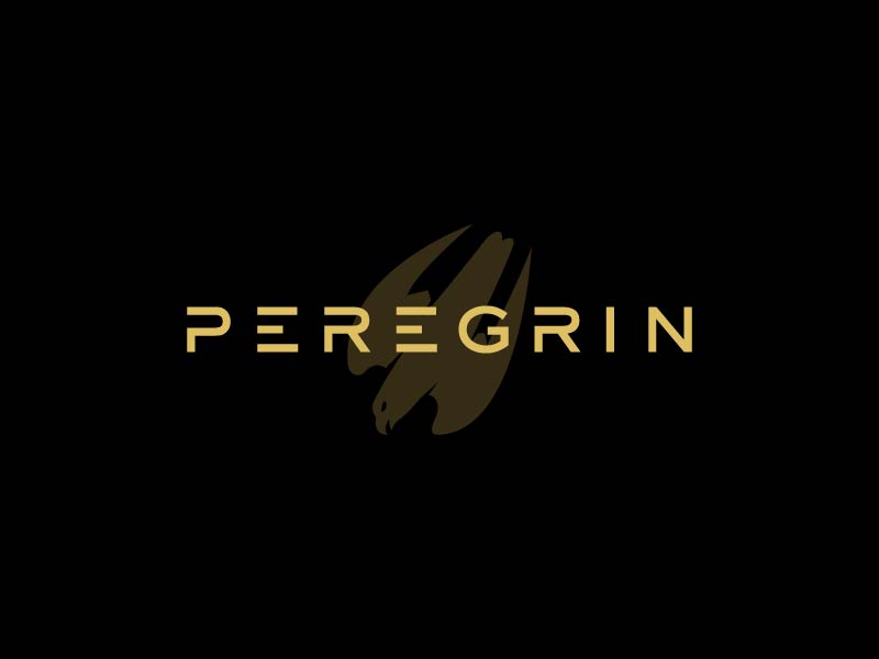Peregrin logo design by jonggol