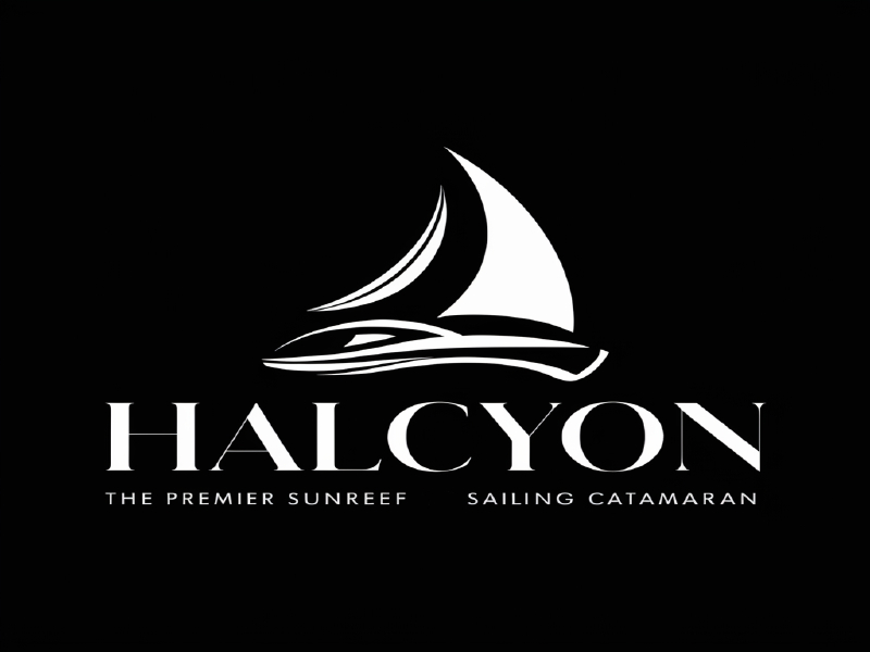 Halcyon logo design by salim