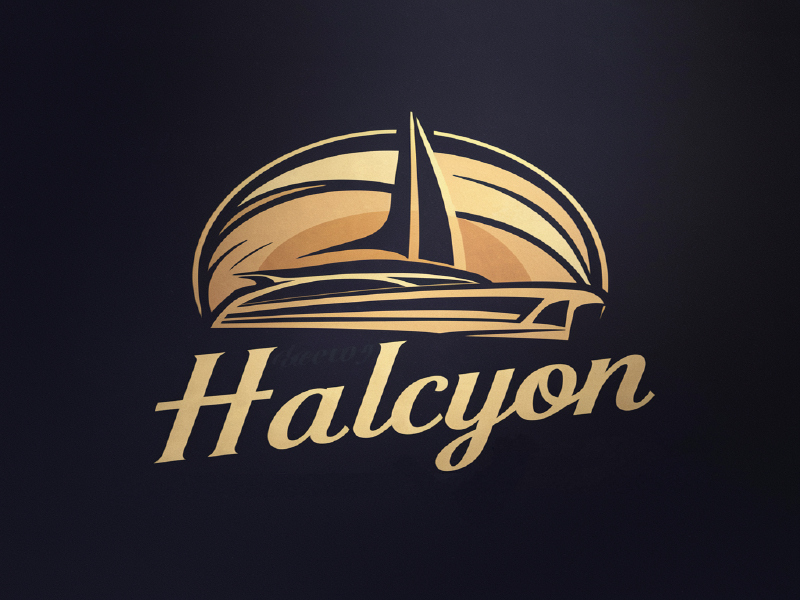 Halcyon logo design by salim