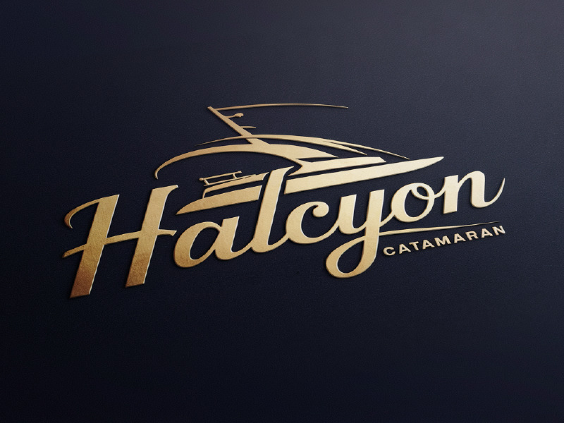 Halcyon logo design by salim