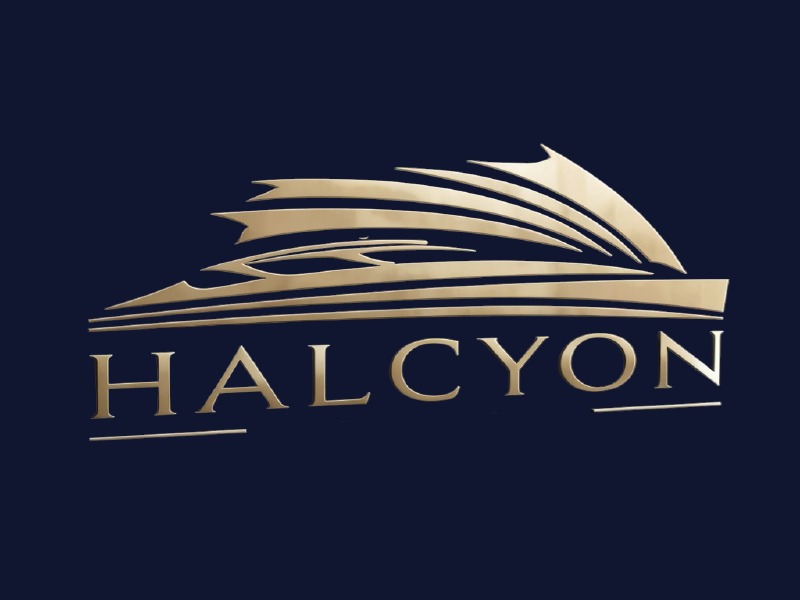 Halcyon logo design by salim